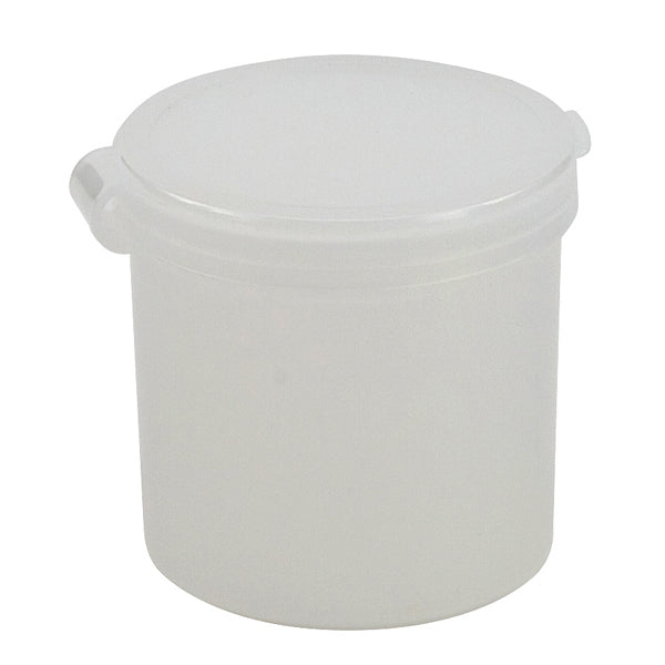 Container w Hinged Lid, PE