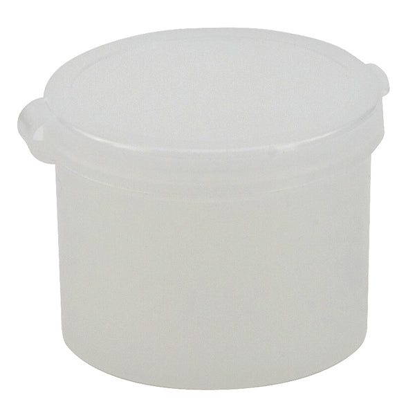 Container w Hinged Lid, PE